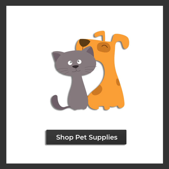 Pet Accessories